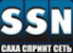 Логотип компании Саха Спринт Сеть
