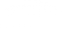 Логотип компании Бридж телеком