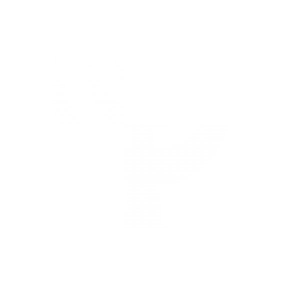 Логотип компании Аал Луук Маас