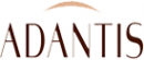 Логотип компании Адантис