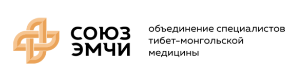 Логотип компании Эмчи