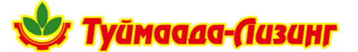 Логотип компании Туймаада-Лизинг